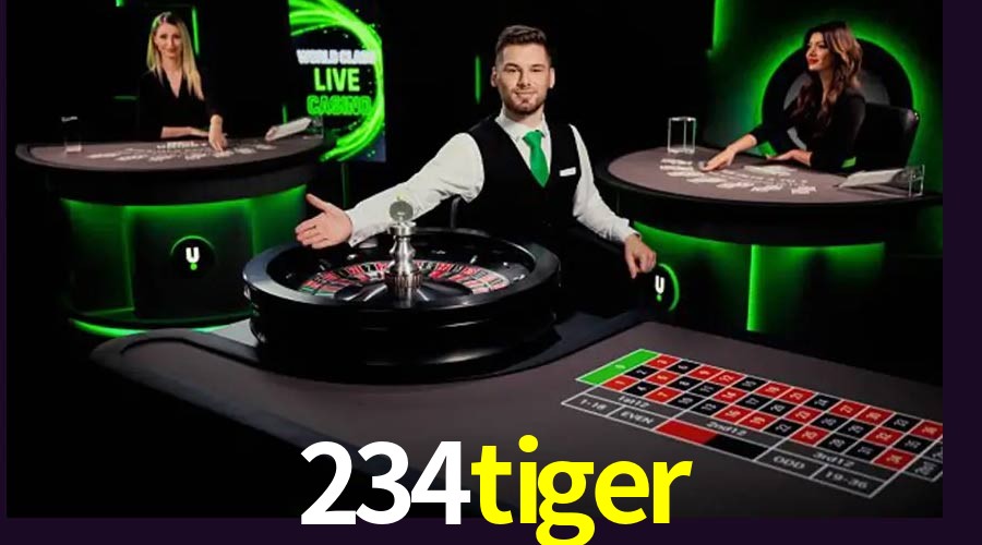 Responsive Design 234tiger